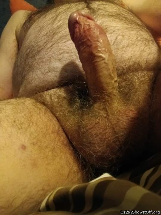 Adult image from Oz29