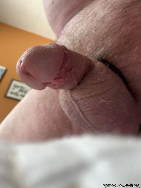 Adult image from cjsims