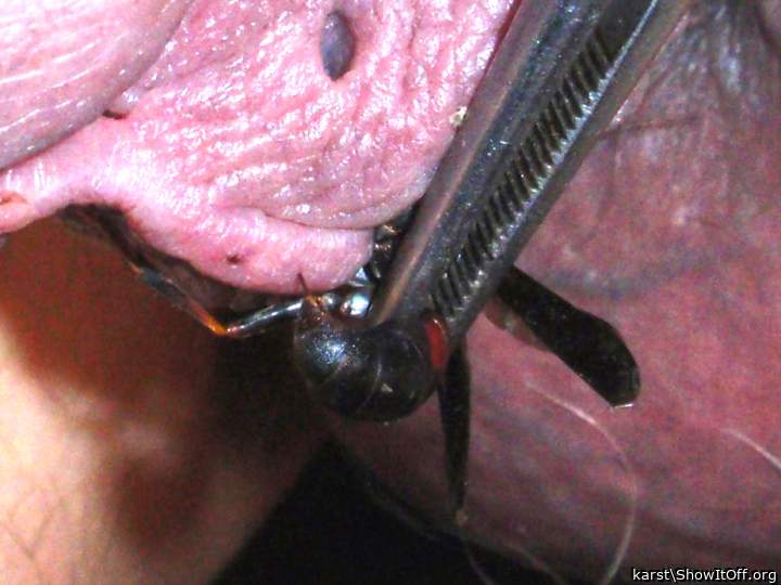 Adult image from karst