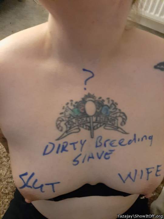 Adult image from Tazajay