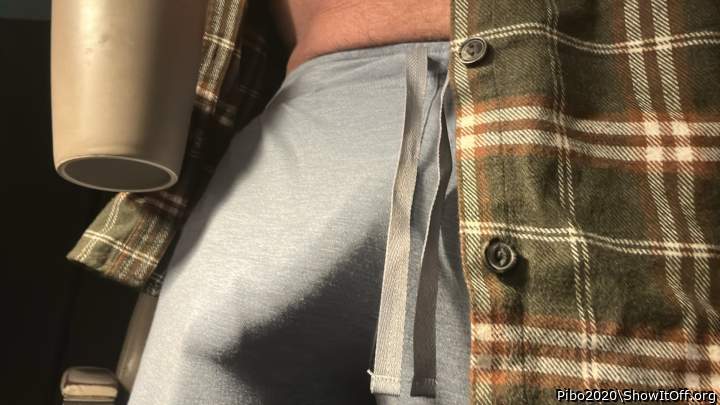Adult image from Pibo2020