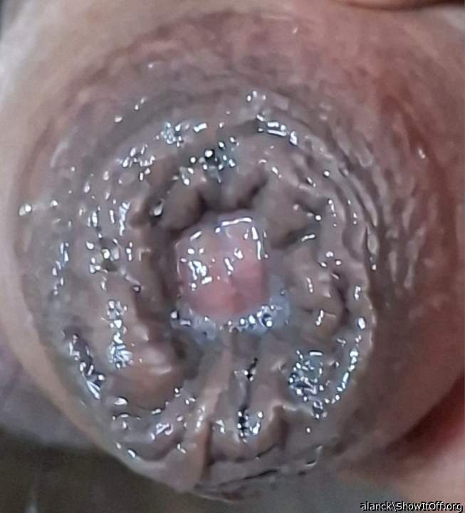 Adult image from alanck