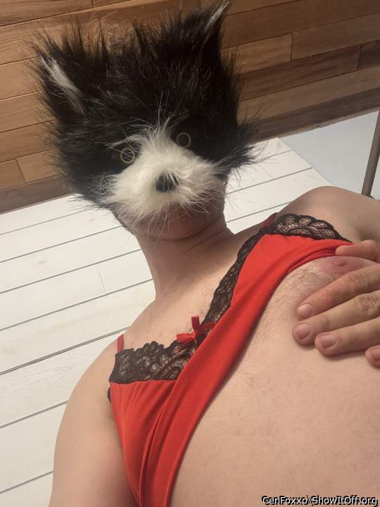 Adult image from CenFoxxo