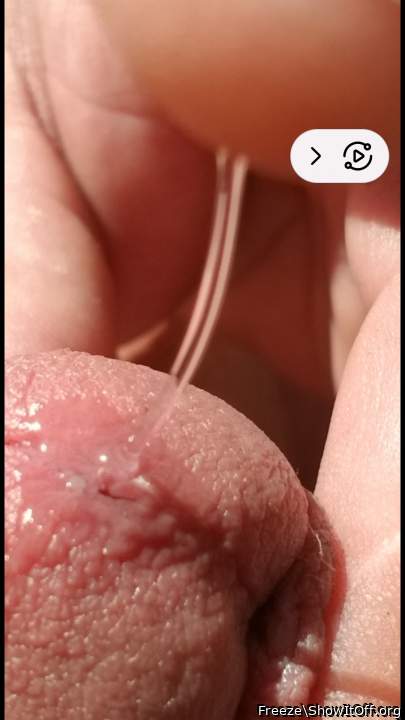 Adult image from Freeze