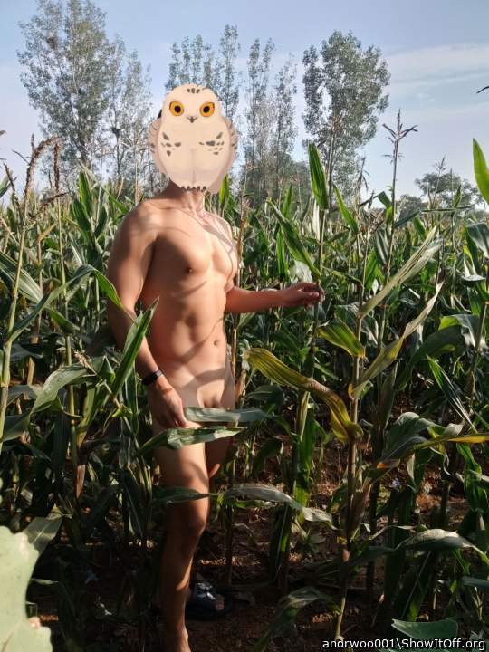 Adult image from anorwoo001