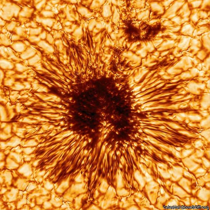 Sunspot the Size of Earth. Earth and Venus are About the Same Size.