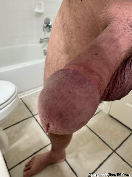 Adult image from Spongenob