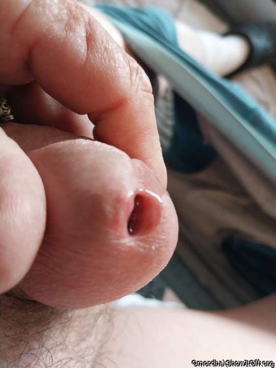 Adult image from Omordha