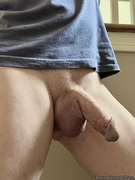 Adult image from Antonek