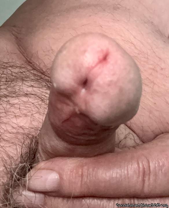 Adult image from Cornishman