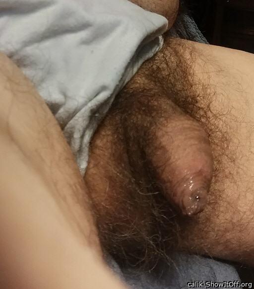 nice hairy dick 