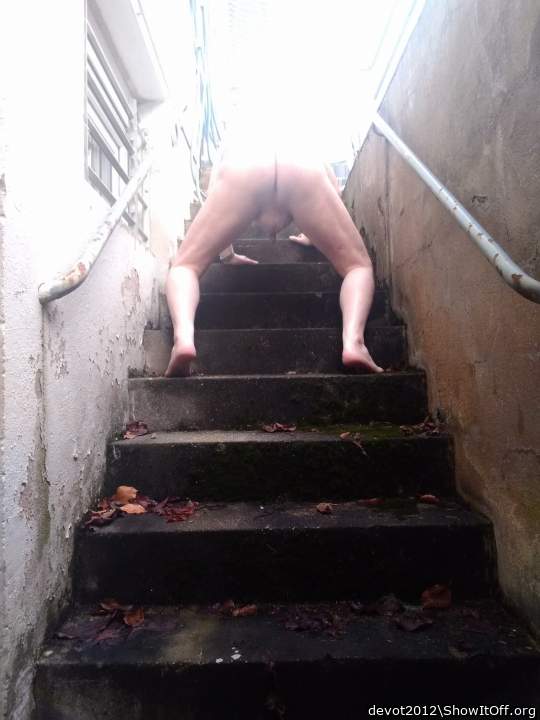 Adult image from devot2012