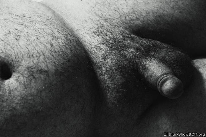 Adult image from Zilthur