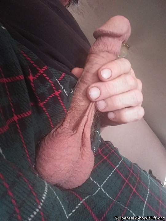 Handsome dick and balls 