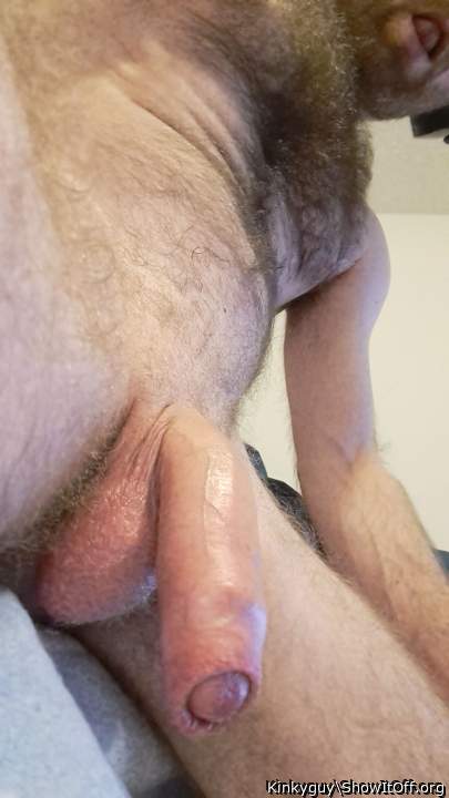 Adult image from Kinkyguy