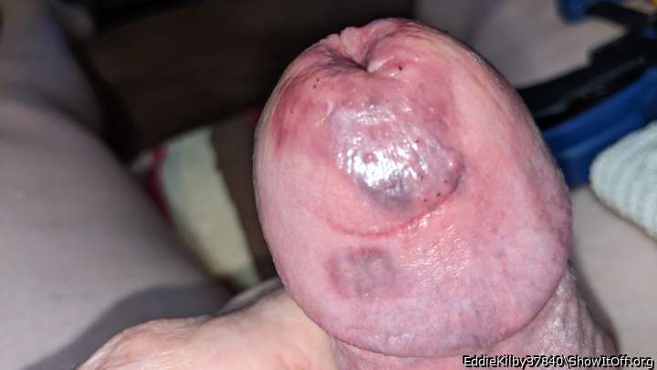 Couldn't find Tortured dicks