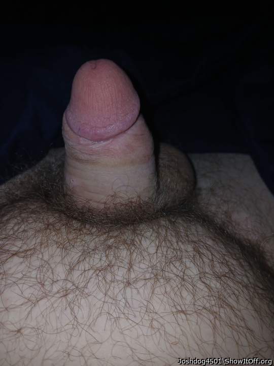 Adult image from Joshdog4501