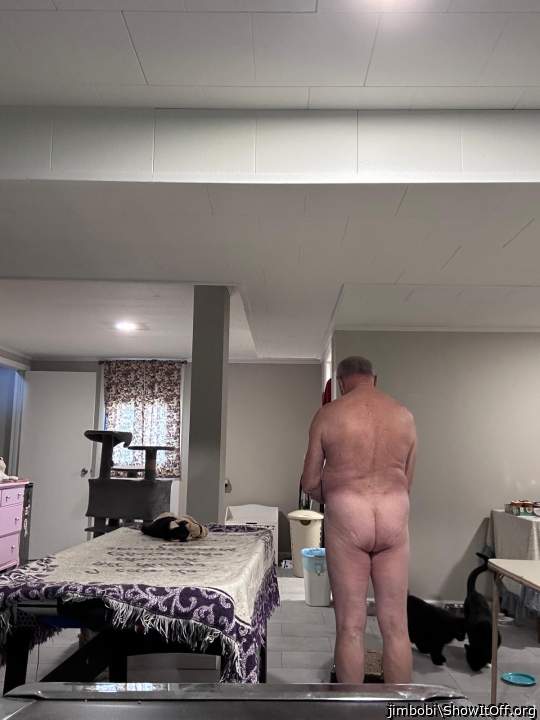 Adult image from jimbobi