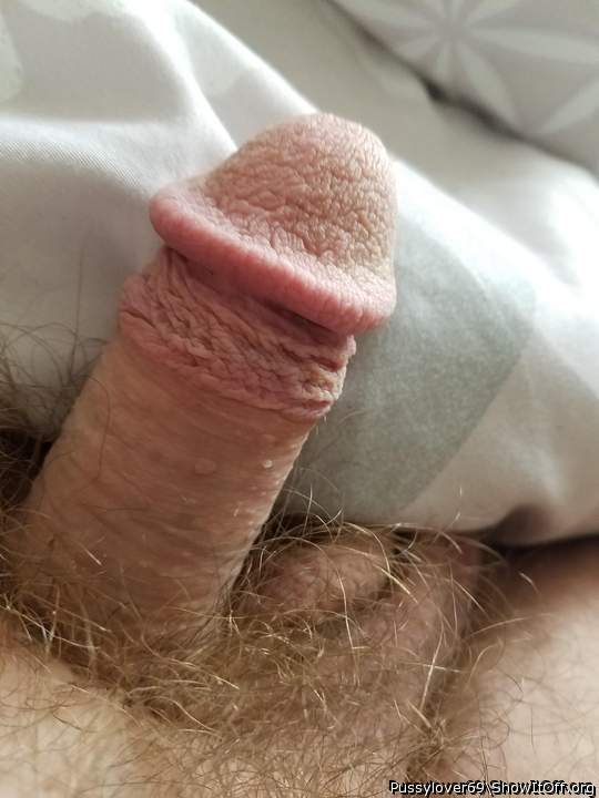 beautiful cock 