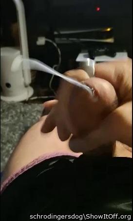 Adult image from schrodingersdog