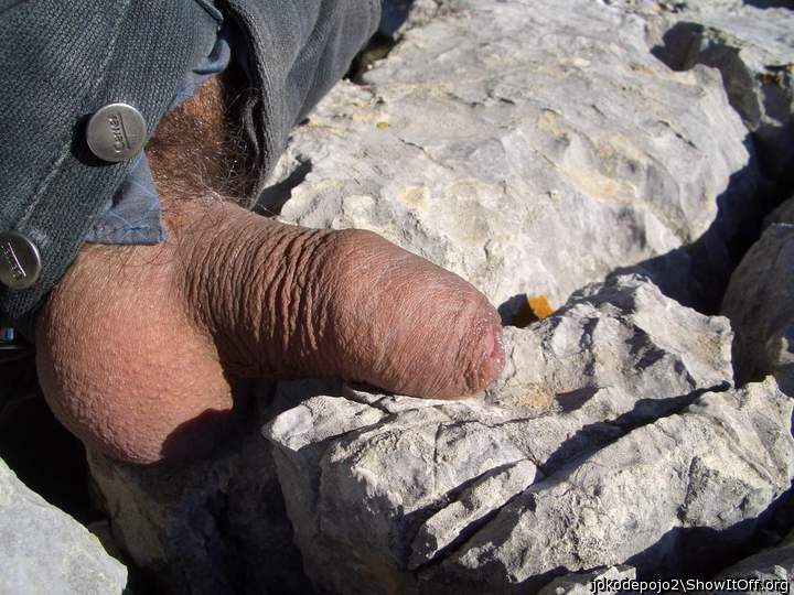 Beautiful uncut cock 