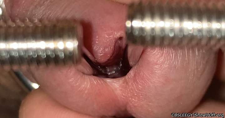 Adult image from CBSLEEGY