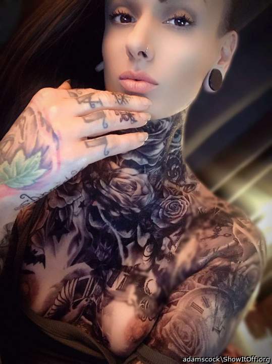 Adult image from adamscock