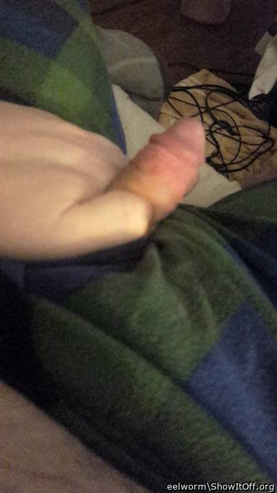 Adult image from eelworm
