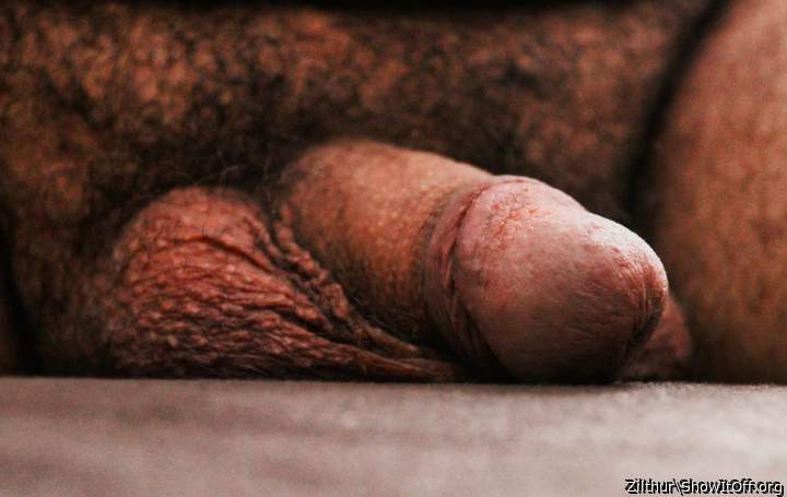 Adult image from Zilthur