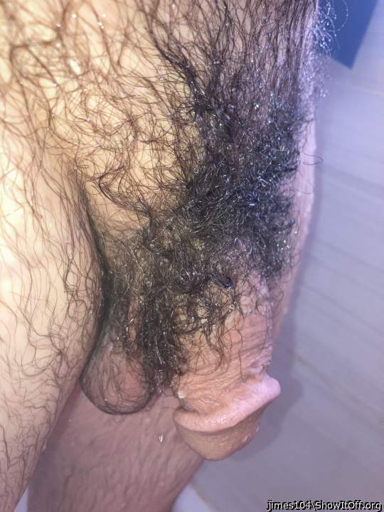 Id enjoy sucking your hairy cock