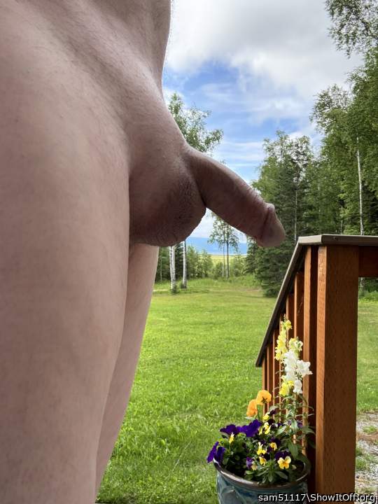 Adult image from sam51117