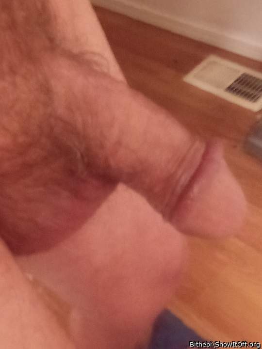 Adult image from Bithebi