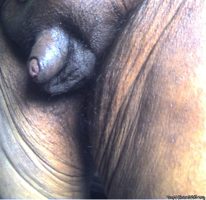 Adult image from tiny1