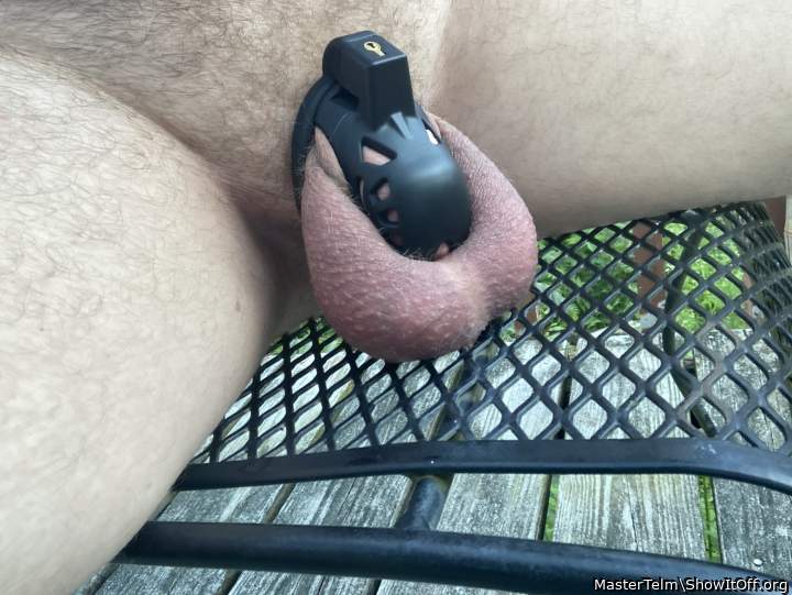 Adult image from MasterTelm