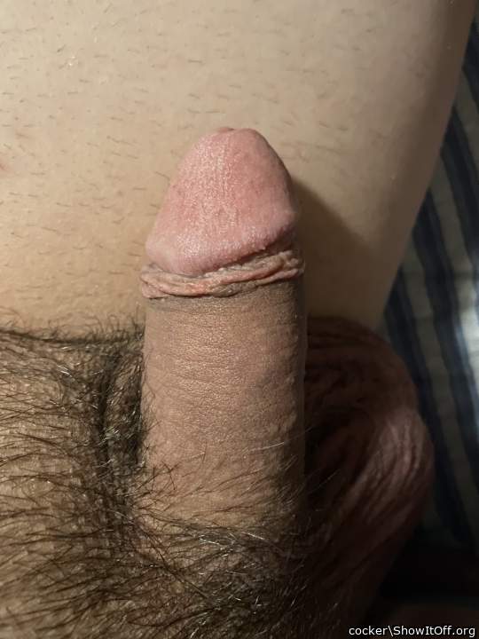Who wants to suck this dick?