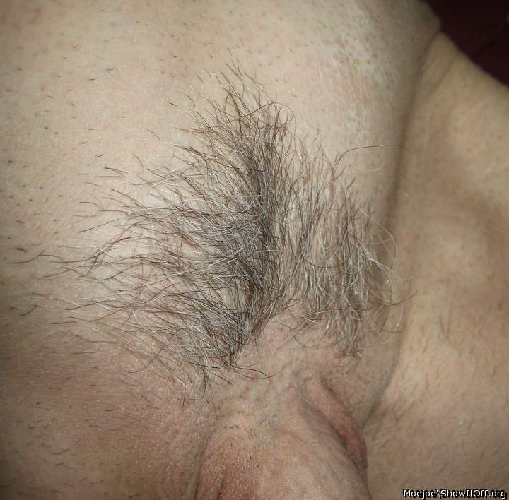 Another look at the pubes before shaving....