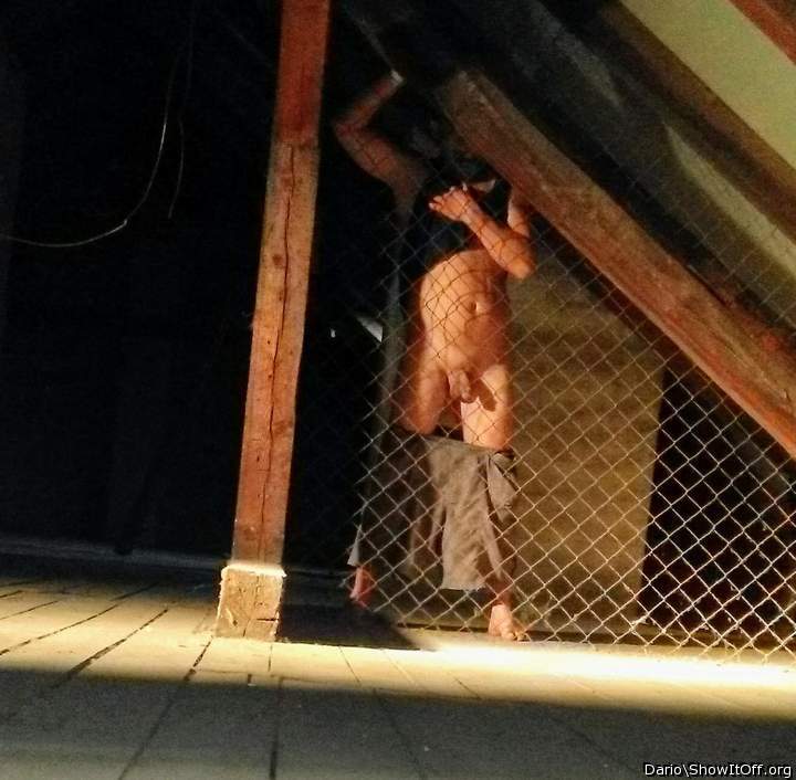 Adult image from Dario