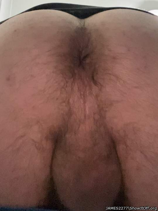 Adult image from JAMES2277