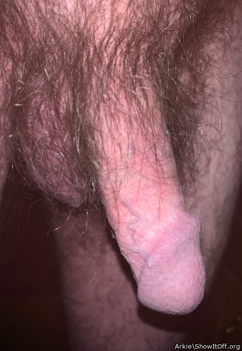 Adult image from Arkie