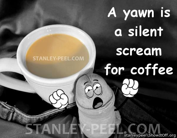 Silent Scream stanley-peel.com