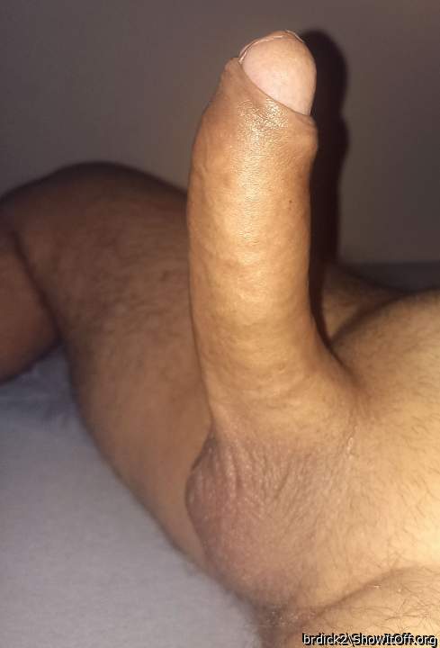 Rock hard big fat cock Fucktoy wants a ride&#128520;