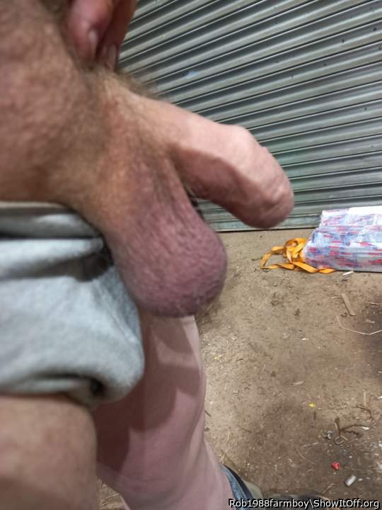 Adult image from Rob1988farmboy