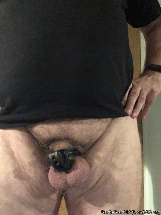 I would love to see you try and get hard in your cage as you