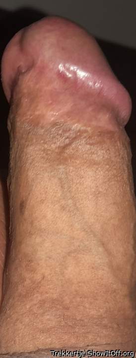 Adult image from Trekkertje