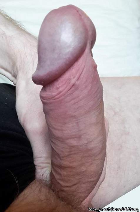 Adult image from toby_uncut