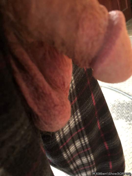 Adult image from M308ben