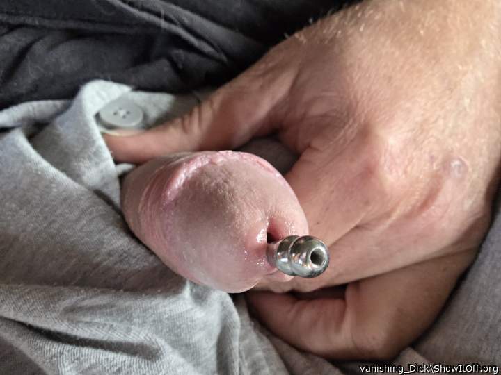 Adult image from vanishing_Dick