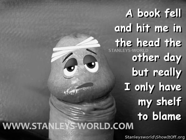 I Blame My Shelf