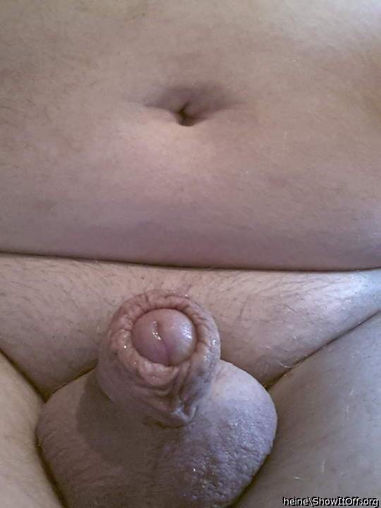 Lovely head on view of your dick and balls