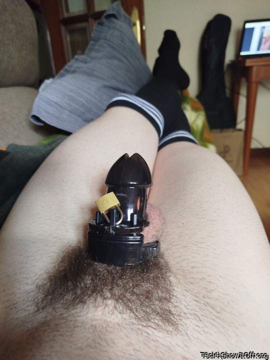 Adult image from T3cl4